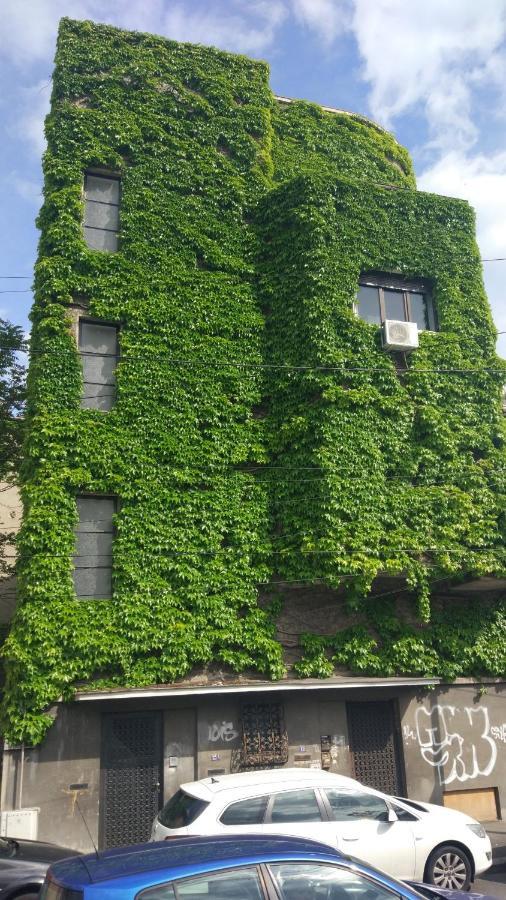 Central Green House 布加勒斯特 外观 照片